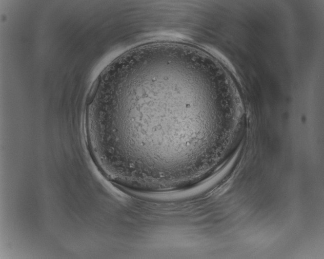 X0000071761391200606301119