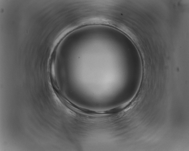 X0000071761392200606301119