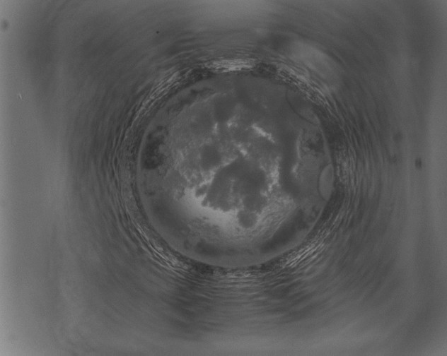 X0000071761393200606301118