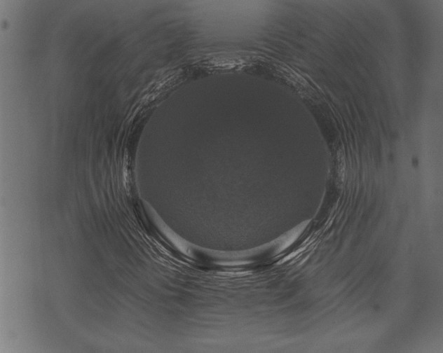 X0000071761394200606301118