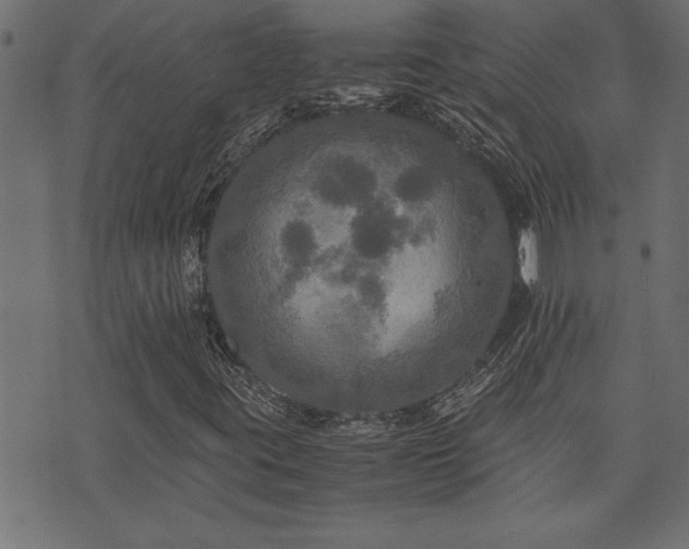 X0000071761395200606301118