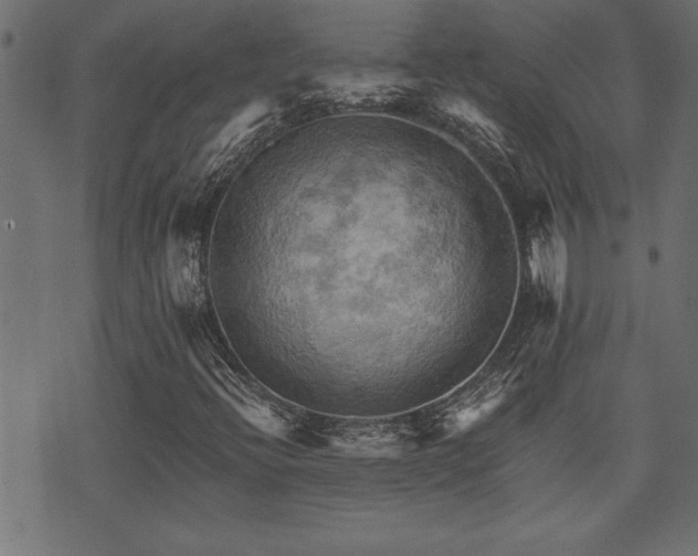 X0000071761396200606301118