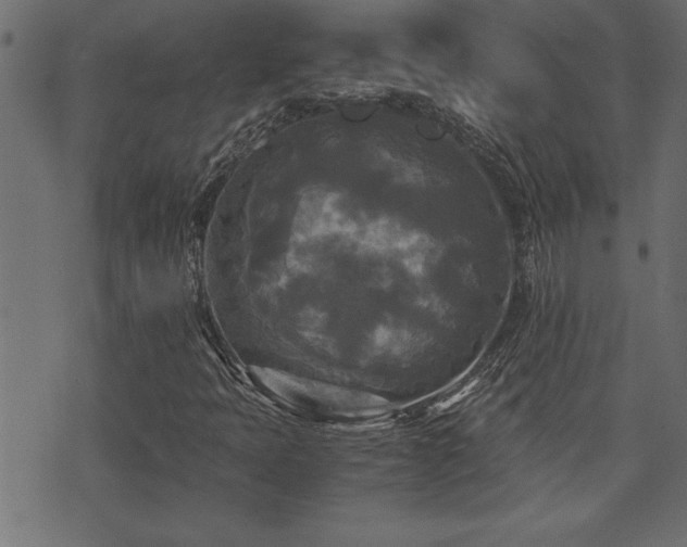 X0000071761397200606301119