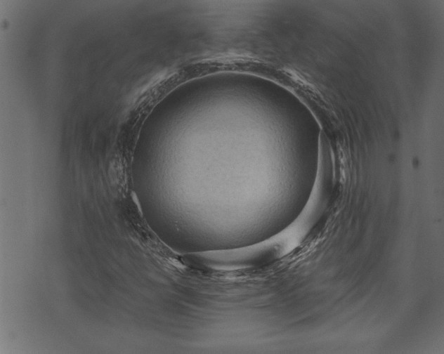 X0000071761398200606301119