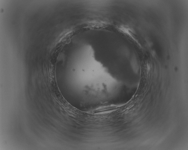 X0000071761399200606301119