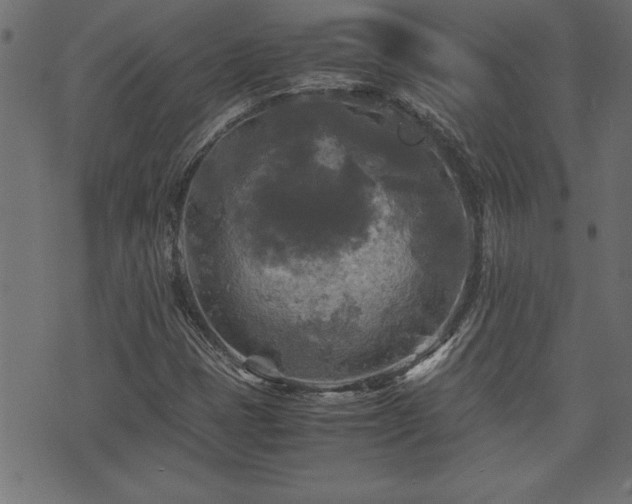 X0000071761401200606301119