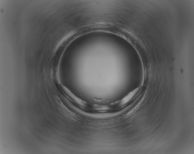 X0000071761402200606301119