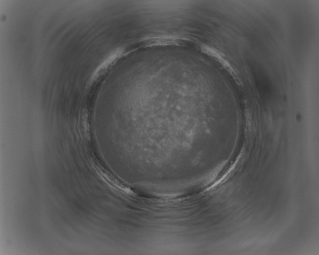 X0000071761403200606301119