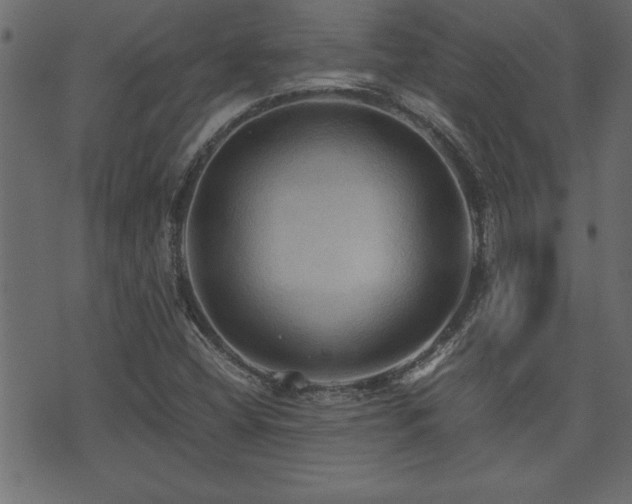 X0000071761404200606301119