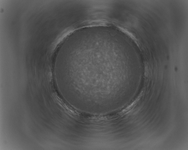 X0000071761407200606301119