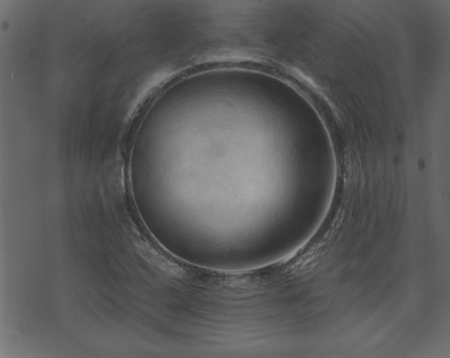 X0000071761408200606301119