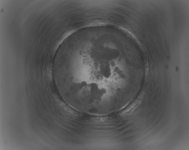 X0000071761409200606301119