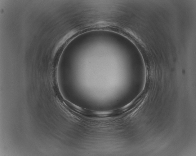 X0000071761410200606301119