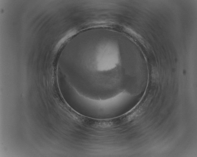 X0000071761411200606301119