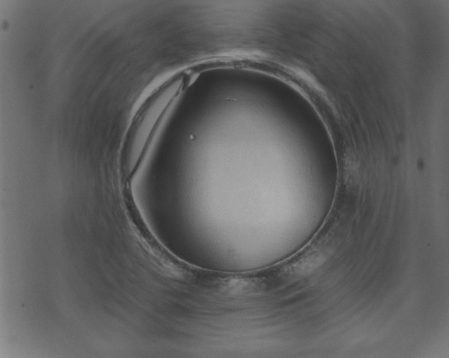 X0000071761412200606301119