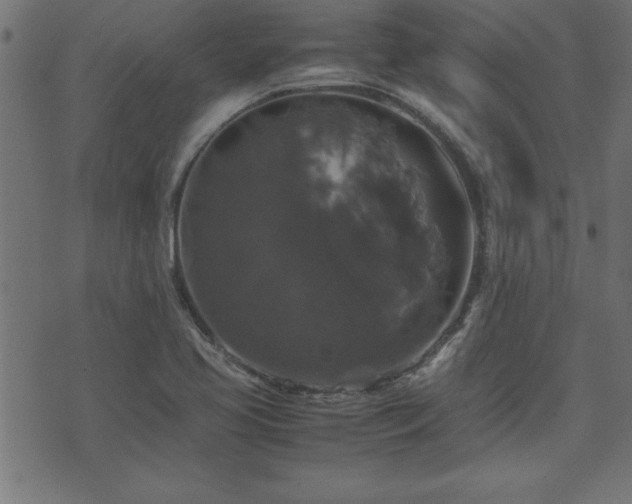 X0000071761413200606301119