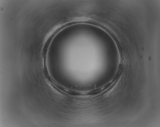 X0000071761414200606301119