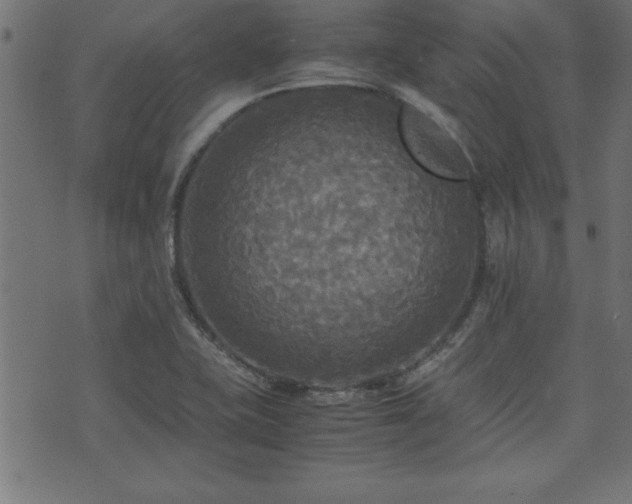 X0000071761415200606301119