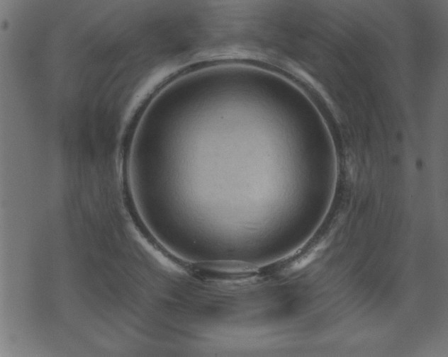 X0000071761416200606301119