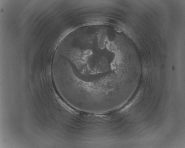 X0000071761417200606301119