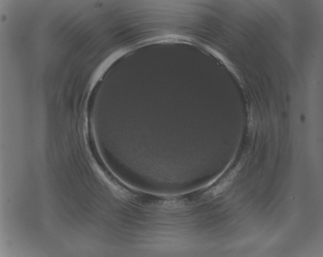 X0000071761418200606301119