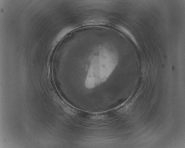 X0000071761419200606301119