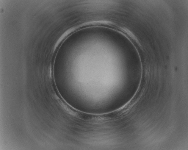 X0000071761420200606301119