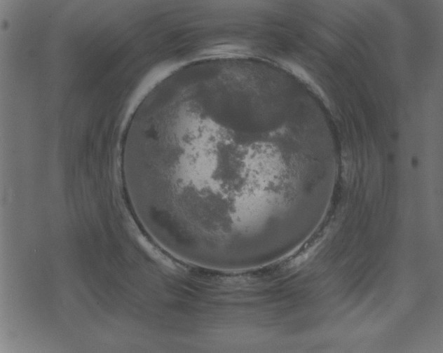 X0000071761421200606301119