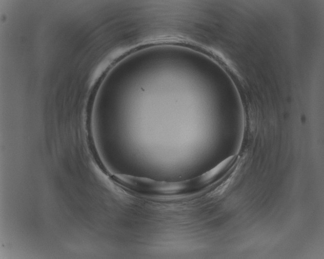 X0000071761422200606301119