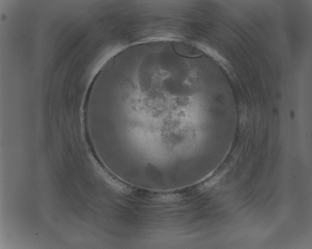 X0000071761423200606301119