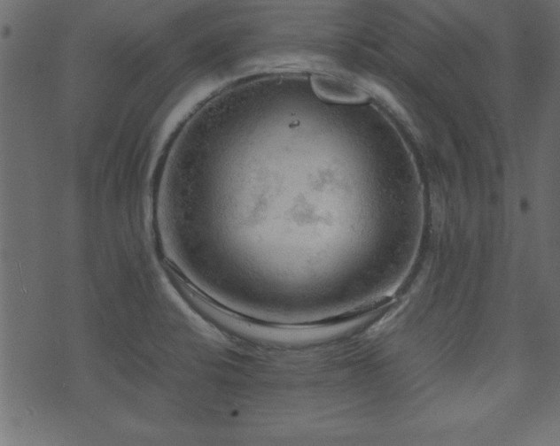 X0000071761424200606301119