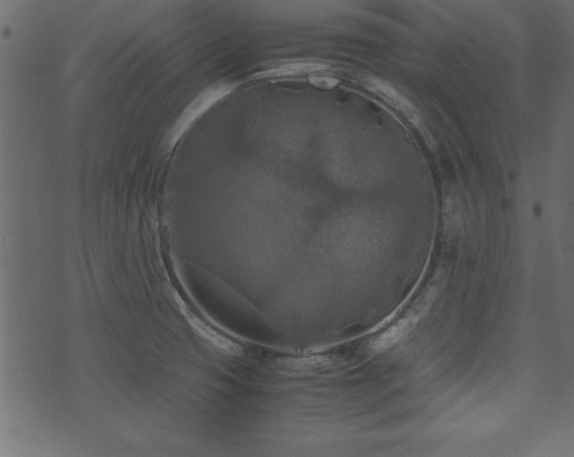 X0000071761425200606301119