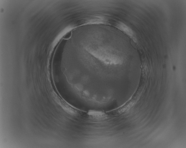 X0000071761427200606301119