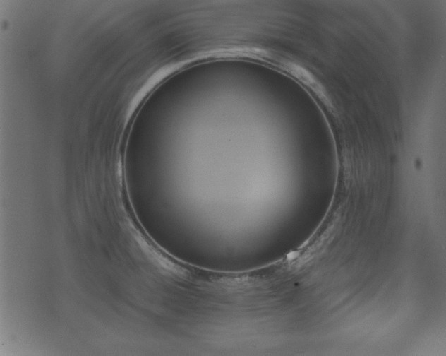 X0000071761428200606301119