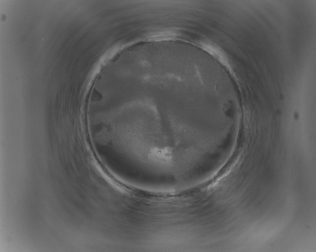 X0000071761429200606301119