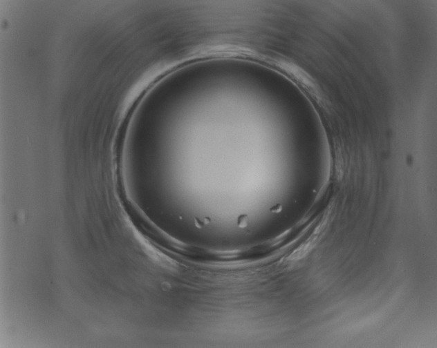 X0000071761430200606301119