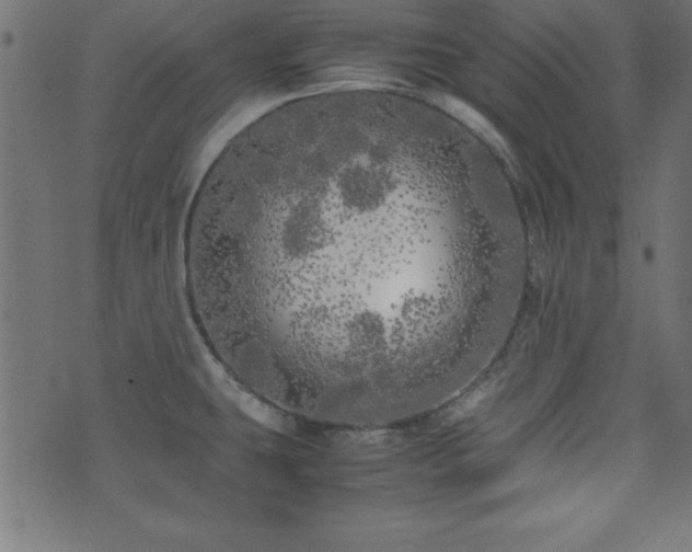 X0000071761431200606301119