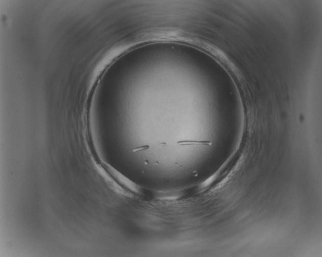 X0000071761432200606301119