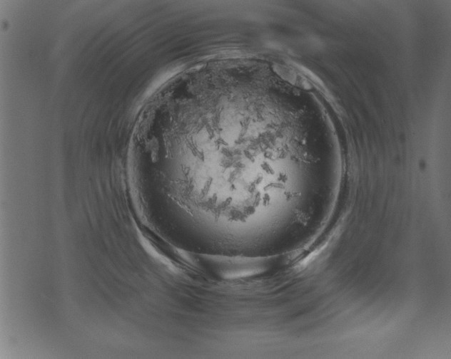 X0000071761433200606301119