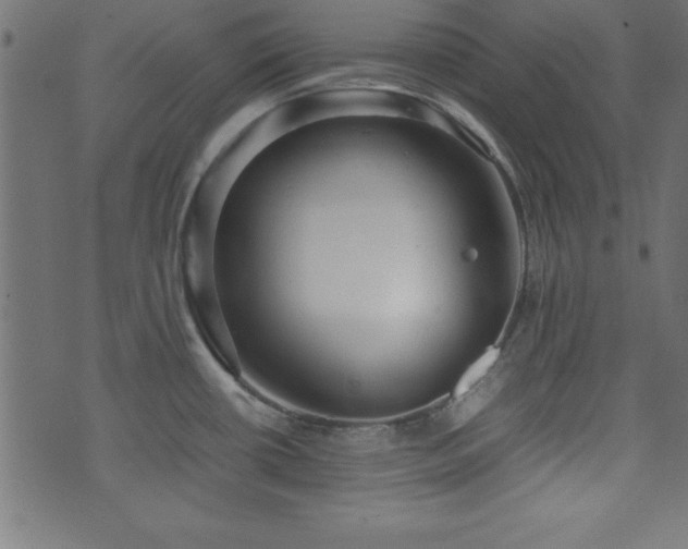 X0000071761434200606301119