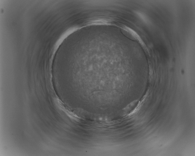 X0000071761435200606301119