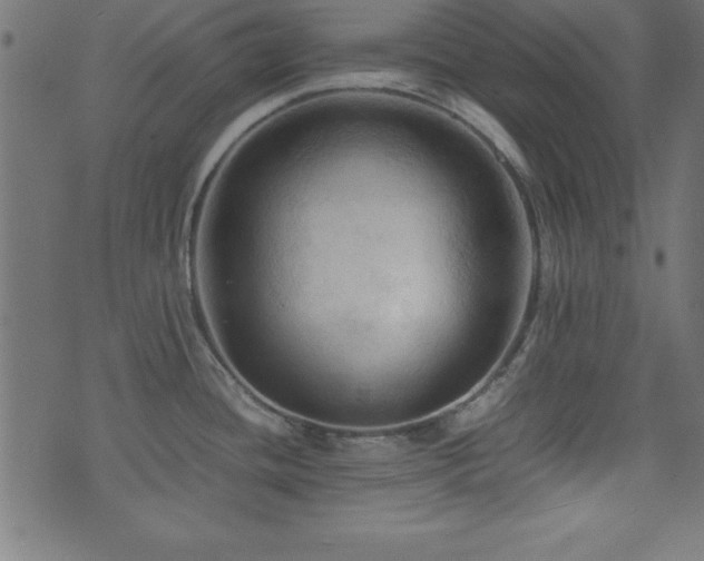 X0000071761436200606301119