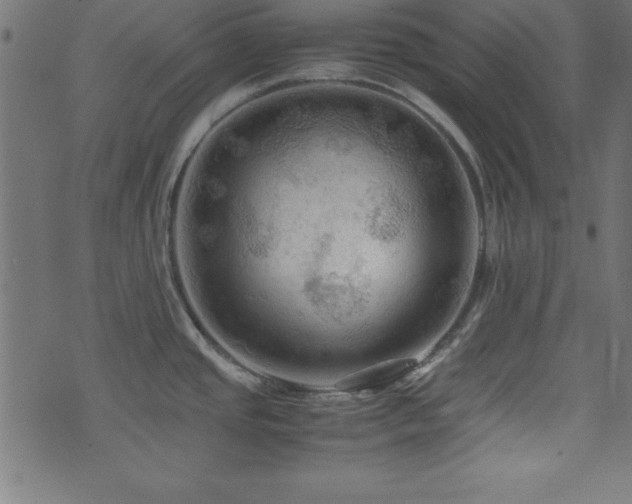 X0000071761437200606301119