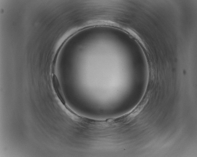 X0000071761438200606301119