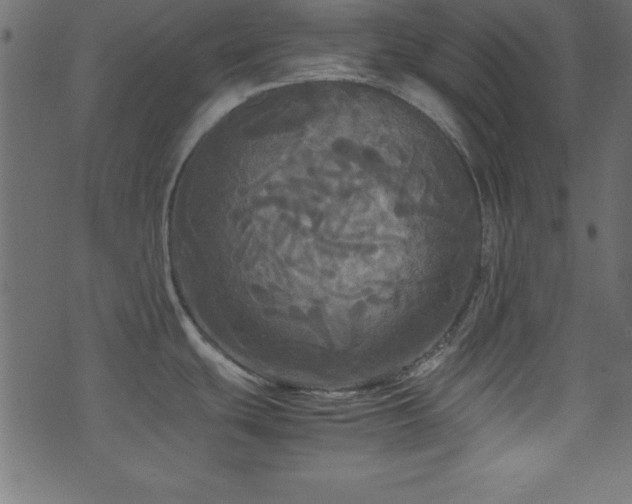 X0000071761439200606301119