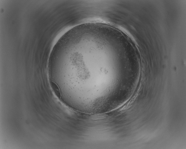 X0000071761440200606301119