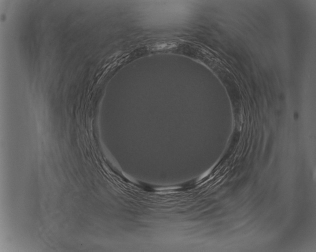 X0000071761441200606301118