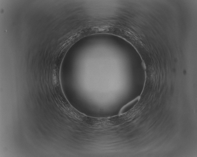 X0000071761442200606301118