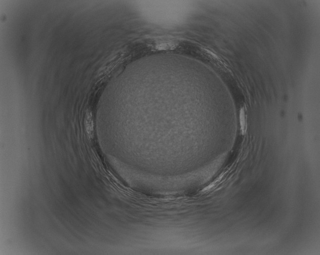 X0000071761443200606301118