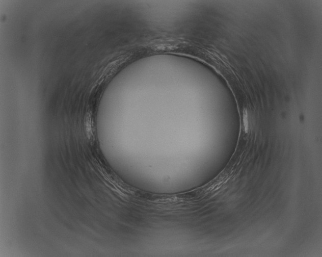 X0000071761444200606301118